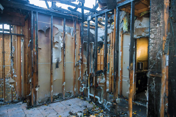 Professional Soot Cleanup technician working in Balm, FL