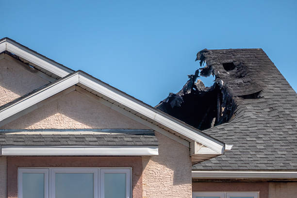 Top rated local Soot Cleanup specialists in Balm, FL